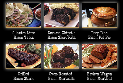 All Bison Meat Recipes