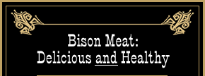 Bison Meat: Delicious and Healthy
